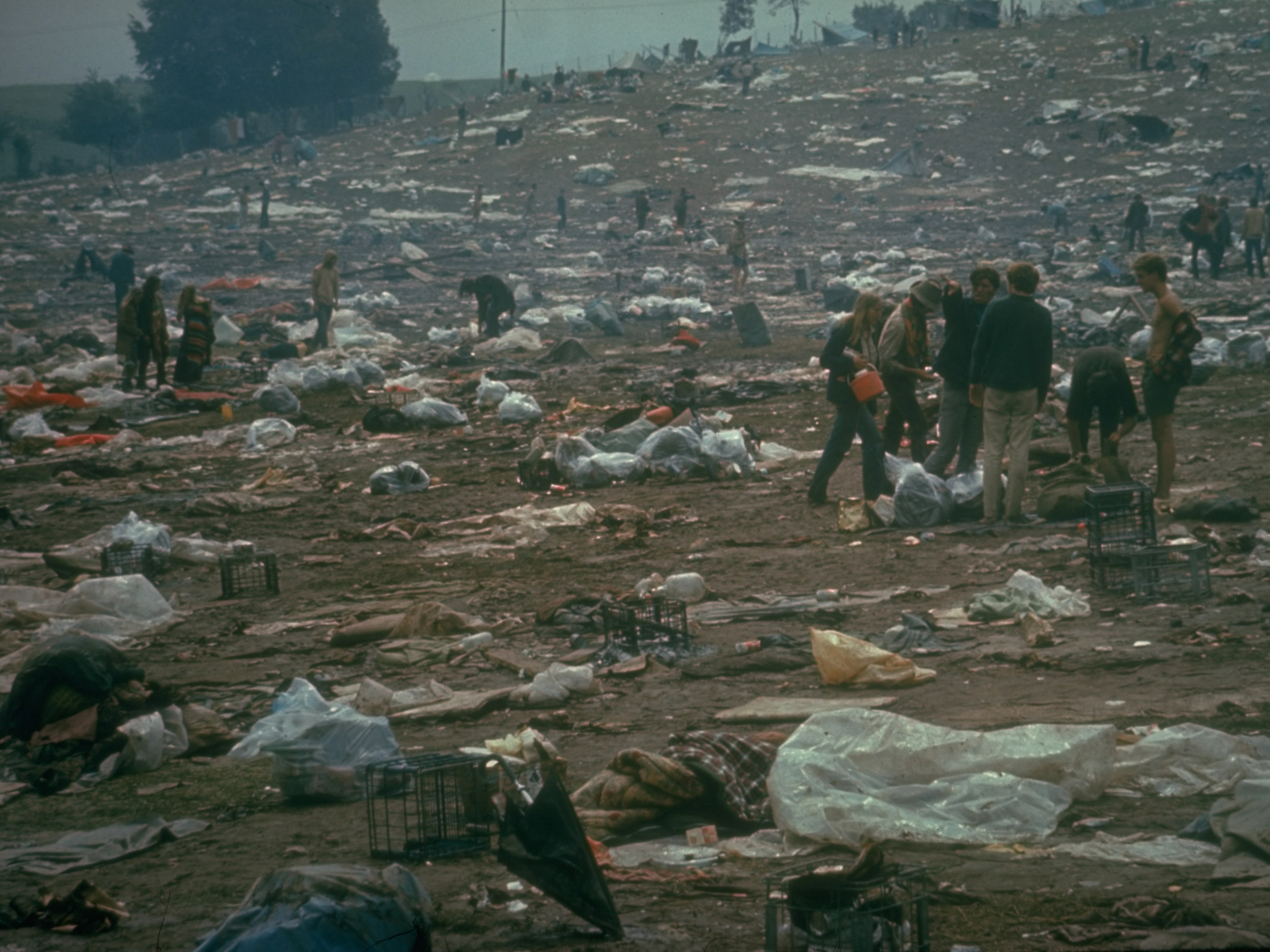 5c9a838592c8864c133ee715