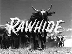 Rawhide-show